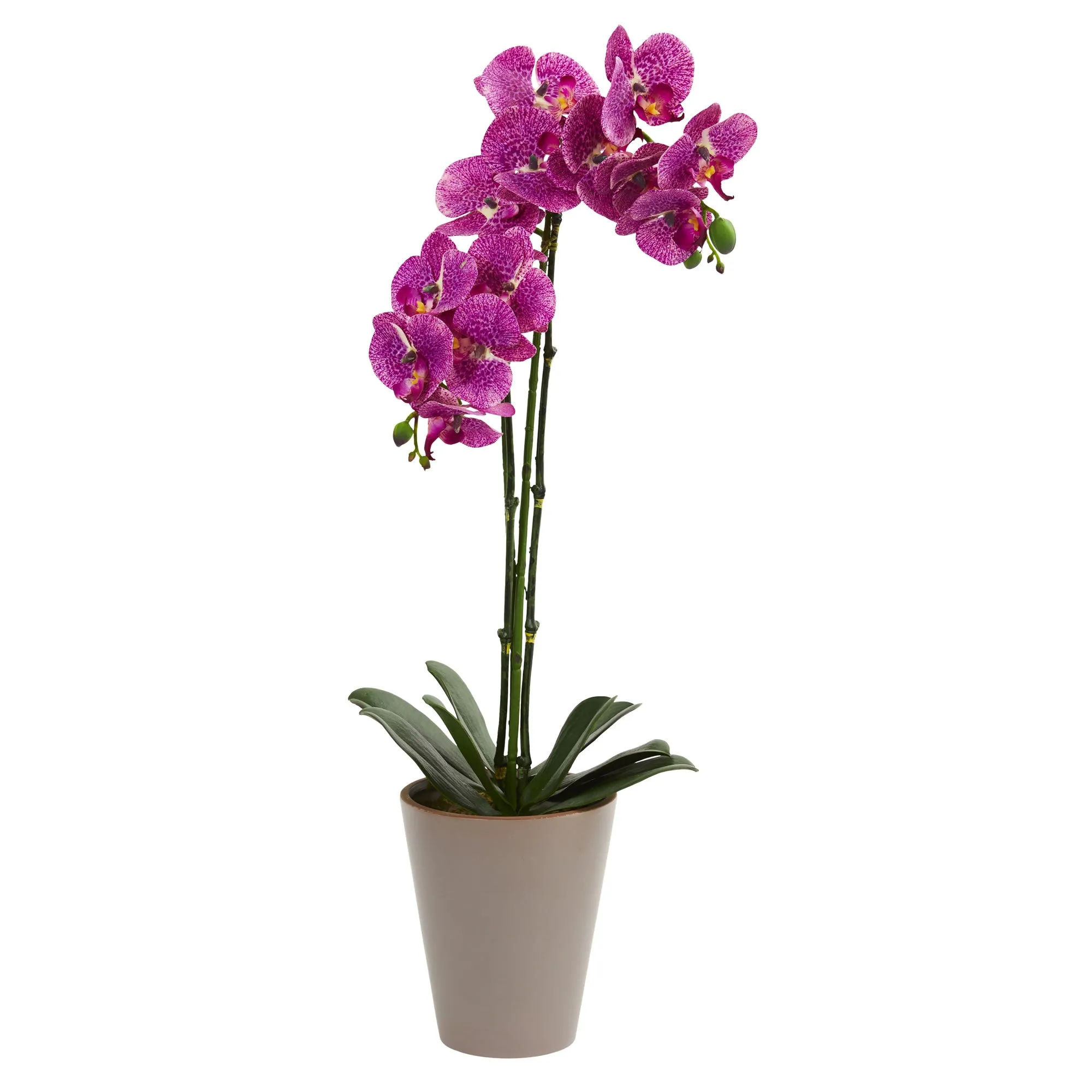 24" Artificial Speckled Phalaenopsis Orchid Flower - Low Maintenance, Life-Like & Vibrant Silk Flowers For Busy People.