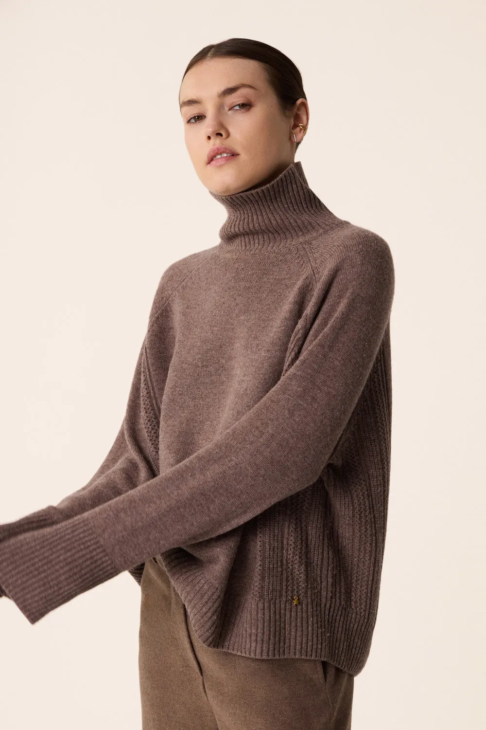 Aramis Turtleneck Sweater