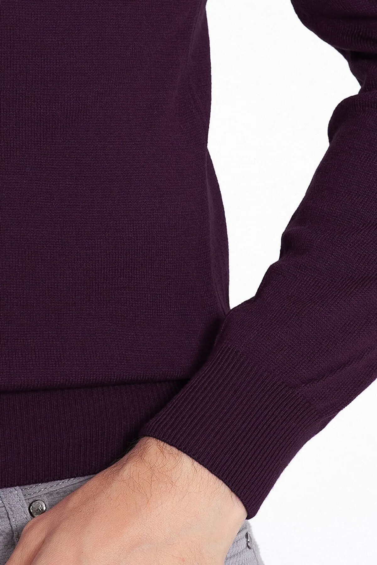 Regular Fit Basic Plain Purple Turtleneck Sweater