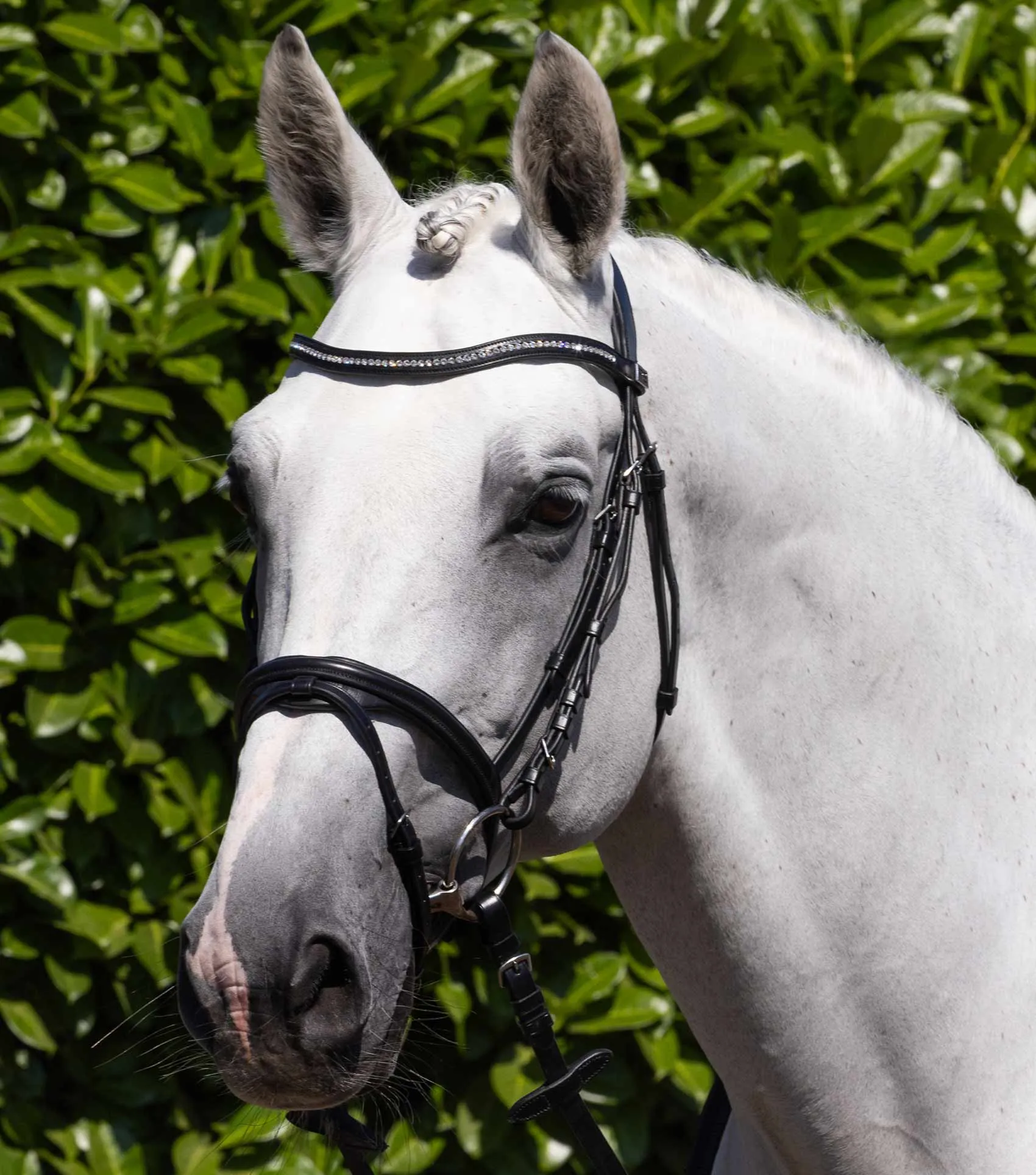 Rivere Snaffle Bridle Black