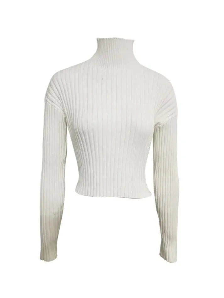 Solid Turtleneck Ribbed Short Sweater