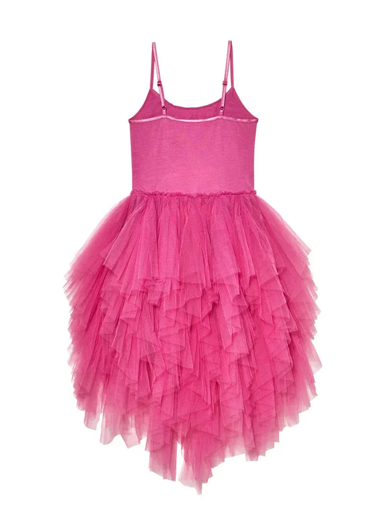 Tutu Du Monde Magical Spectrum Tutu Dress