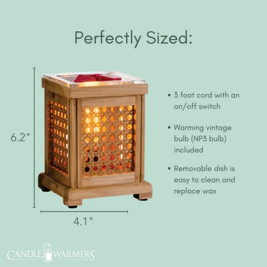 Wood & Cane Vintage Bulb Illumination Fragrance Warmer EBWAC